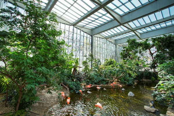 The National Aviary’s Wetlands Habitat. - © Jim Cunningham