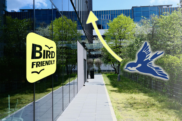 © Hegla boraident Bird protection for facade glass can now also be retrofitted.