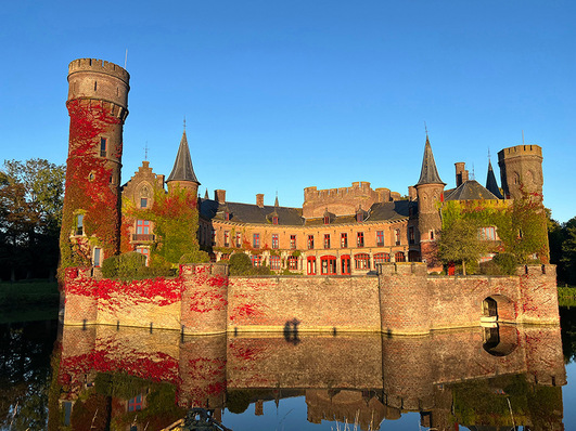 Ein Schloss mit rotem und grünem Efeu an den Mauern, Türmen und einem Wassergraben, unter einem klaren blauen Himmel. - © Wynendaele Castle